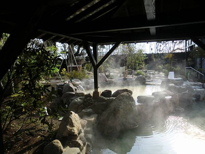 杉戸天然温泉 雅楽の湯の外観
