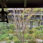 足湯から