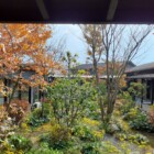 中庭の紅葉